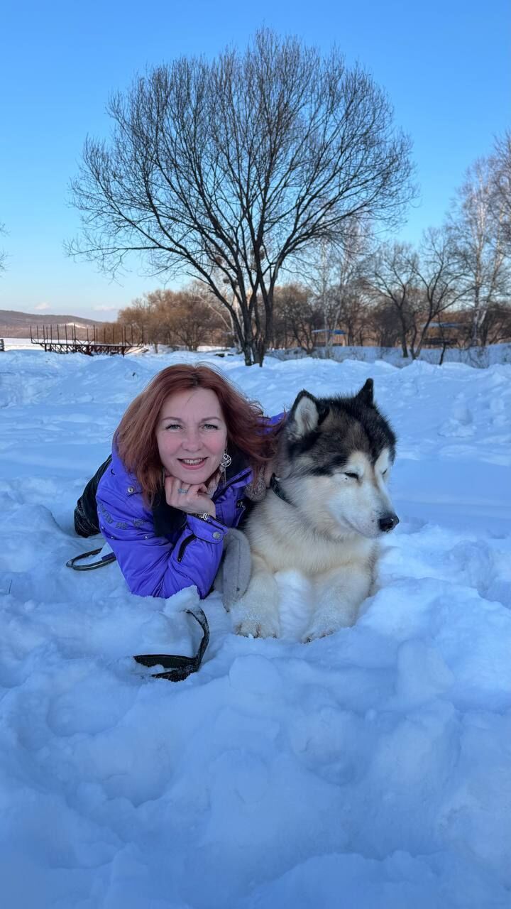 ���� 55413664 ������� ��������, 92 ����, ���� ���������� � ������������