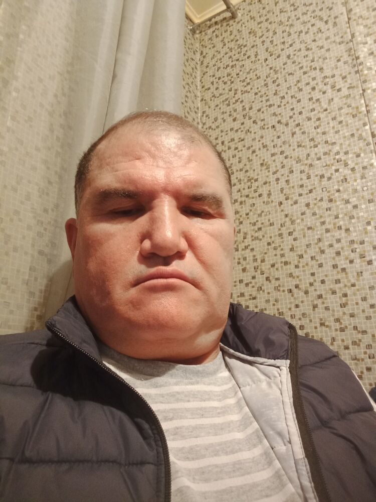  24664584  , 56 ,    