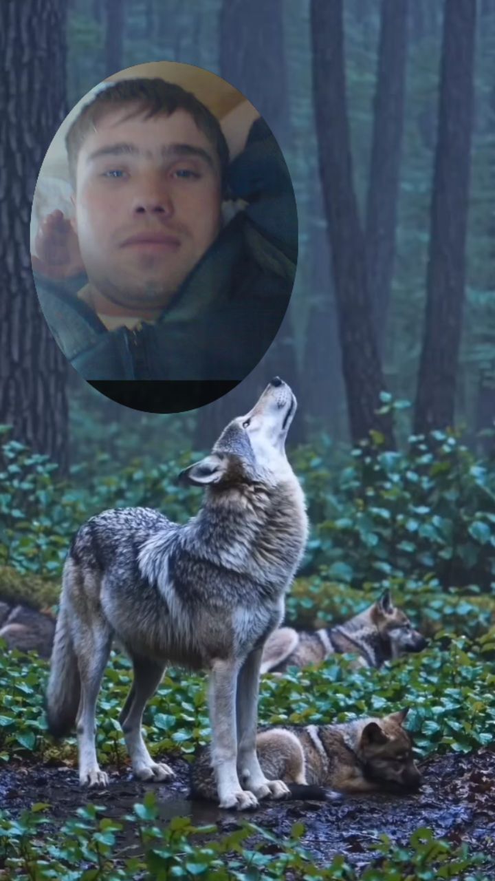 ���� 55160164 ������� �����, 37 ���, ���� ���������� � ����������