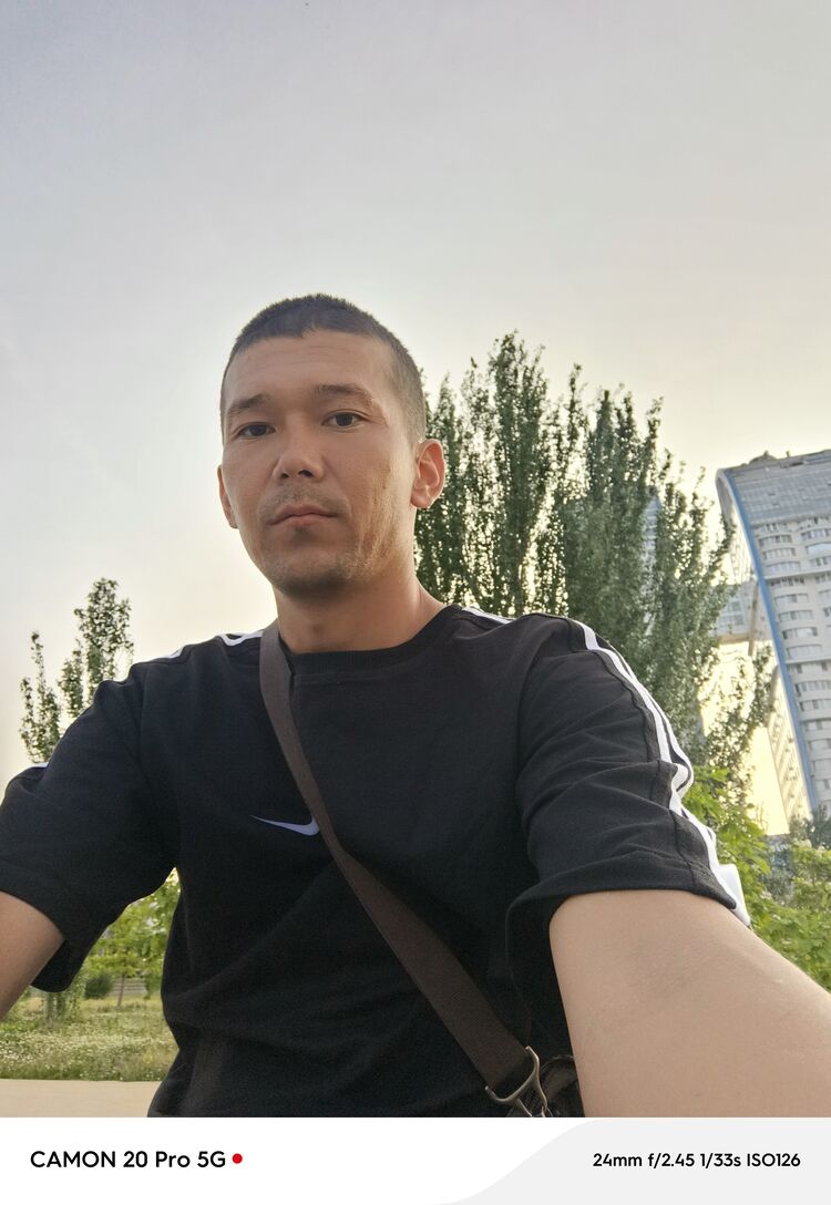  52804584  , 31 ,    