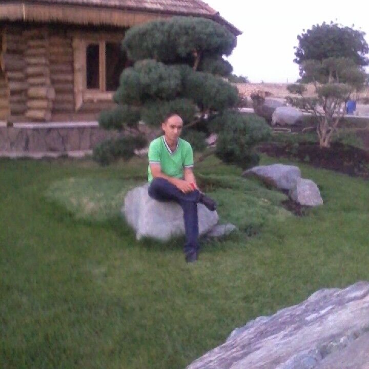  16678514  Sargis, 53 ,    