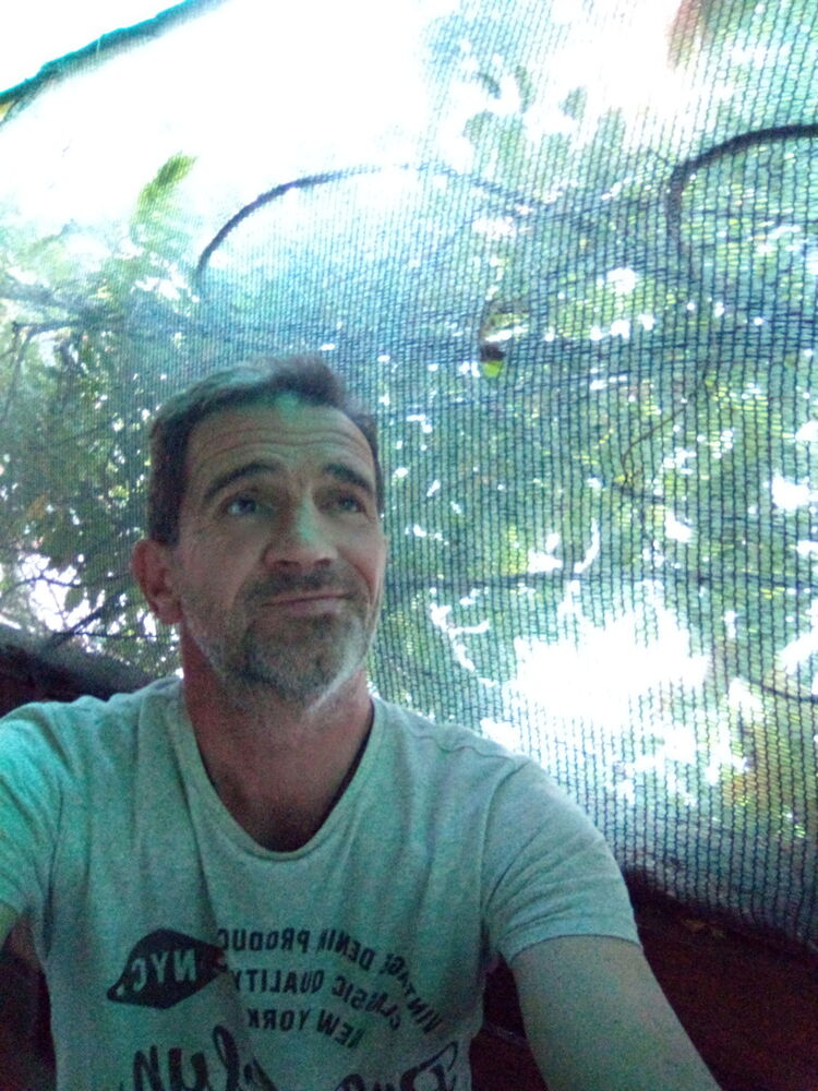 ���� 17365154 ������� �������, 45 ���, ���� ���������� � �����������