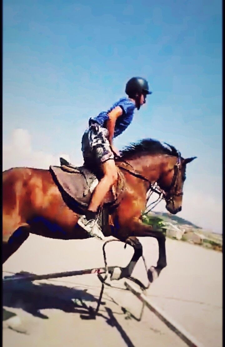 ���� 18220984 ����� Vazgen, 24 ����, ���� ���������� � �������