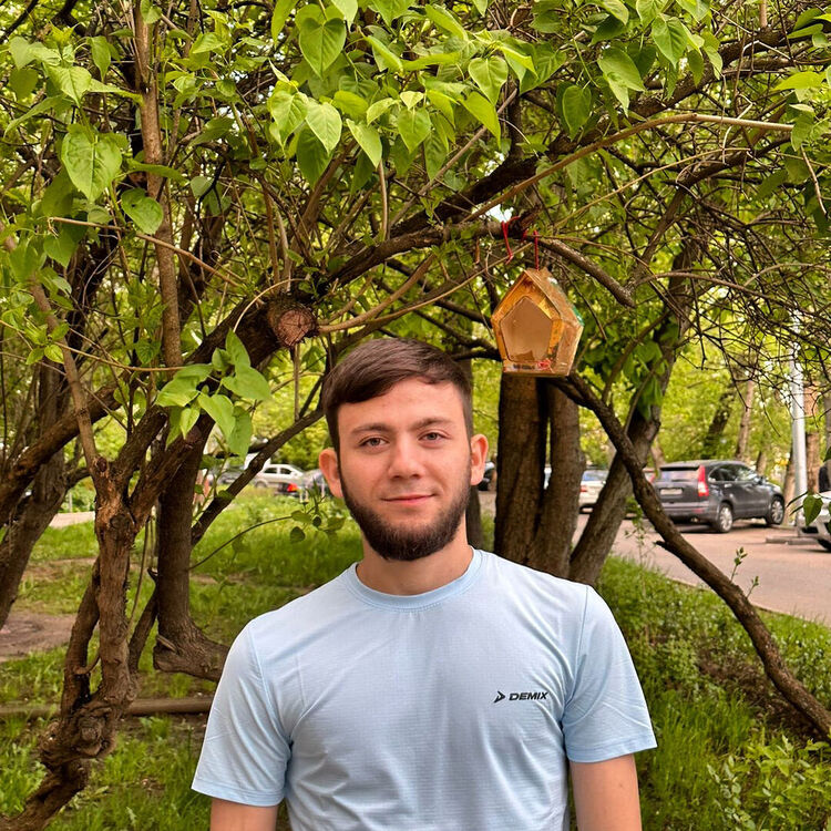 ���������� ������-��-����, ���� ����� ����, 24 ����, ������������ ��� ������, ����� � ���������, c�������� ���������, ���������