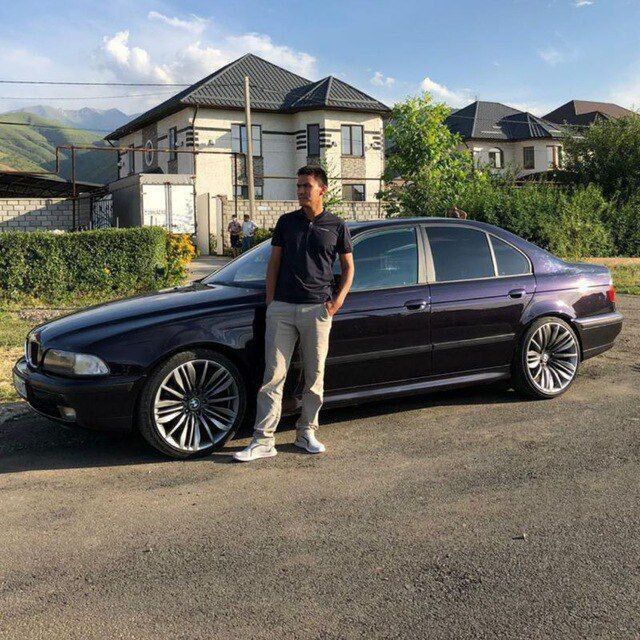 ���� 55866104 ������� ���, 31 ���, ���� ���������� � ���������