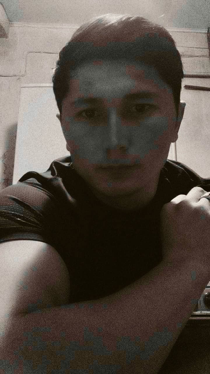  50254844  , 29 ,    
