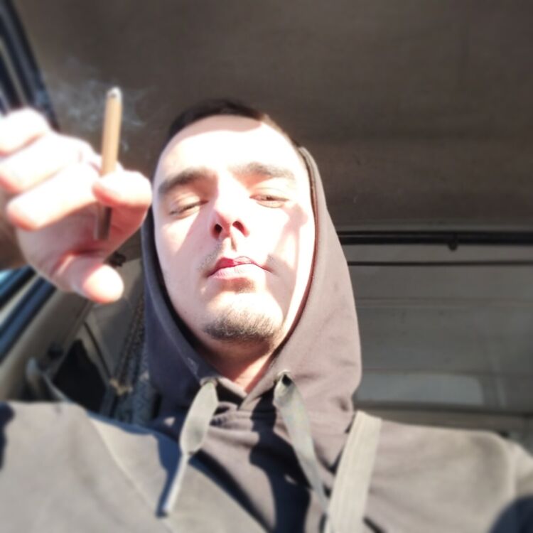  31202494  , 24 ,    