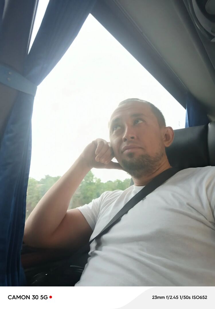 ���� 50313534 ������� ������ 12, 36 ���, ���� ���������� � ���������� ������