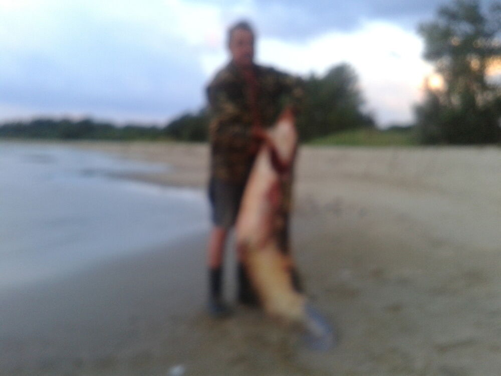 ���������� ������-��-����, ���� ������� ������, 64 ����, ������������ ��� ������, ����� � ���������, c�������� ���������