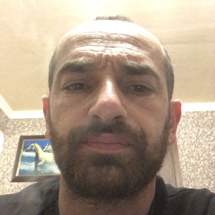 ���� 51684804 ������� ����, 38 ���, ���� ���������� � �������