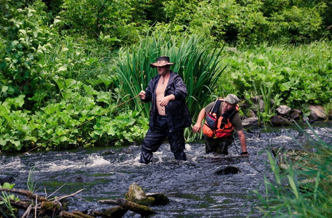  53302814  , 46 ,    --