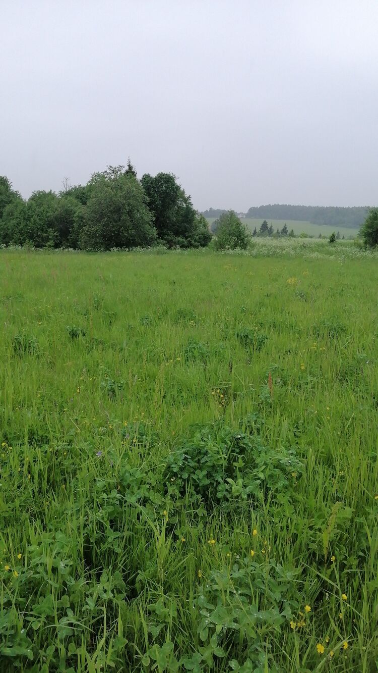 ���������� ��������, ���� ������� ������, 30 ���, ������������ ��� ������, ����� � ���������, c�������� ���������