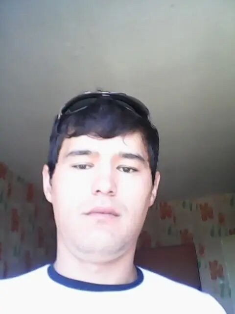  33307884  , 34 ,    
