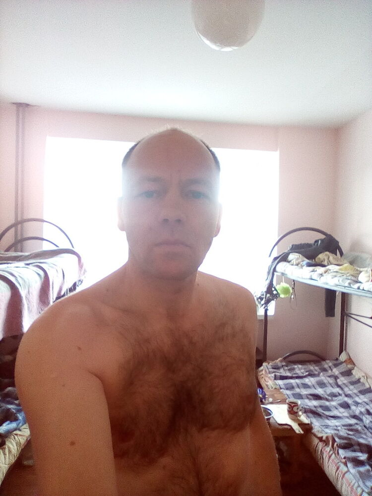  8511694  , 50 ,    