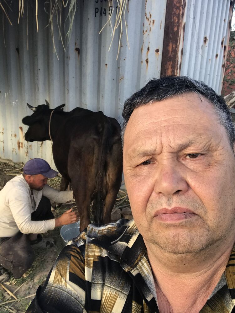  30254034  , 65 ,    