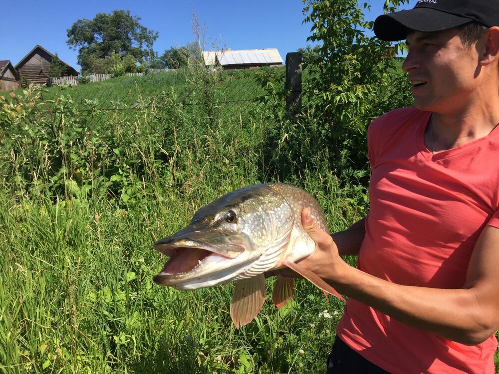 ���� 19209884 ������� ����, 32 ����, ���� ���������� � ������ ���������