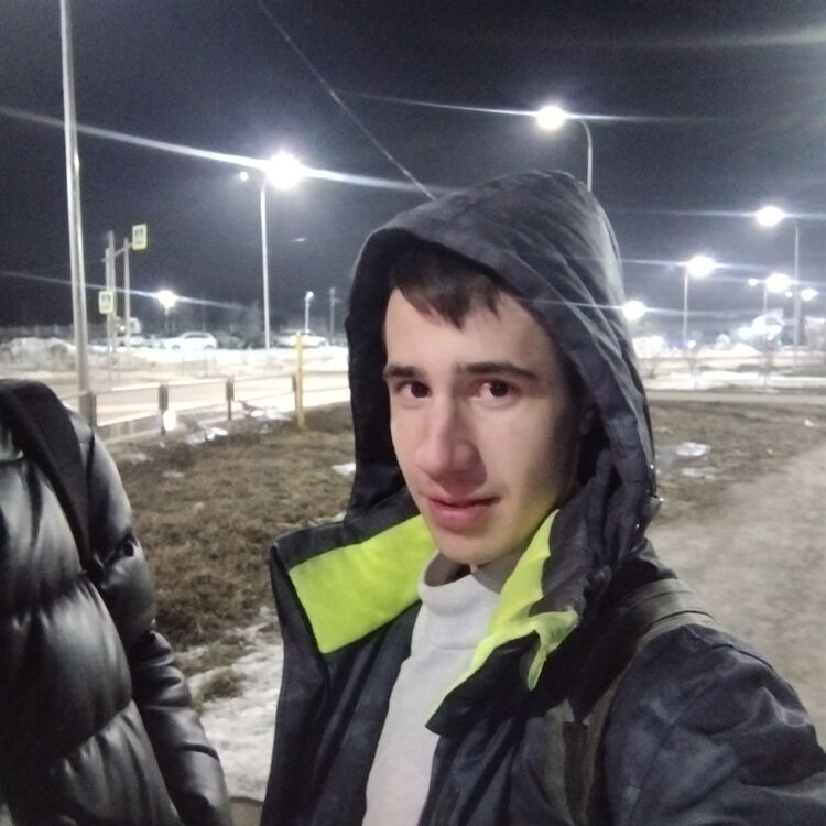  41955474  , 20 ,    