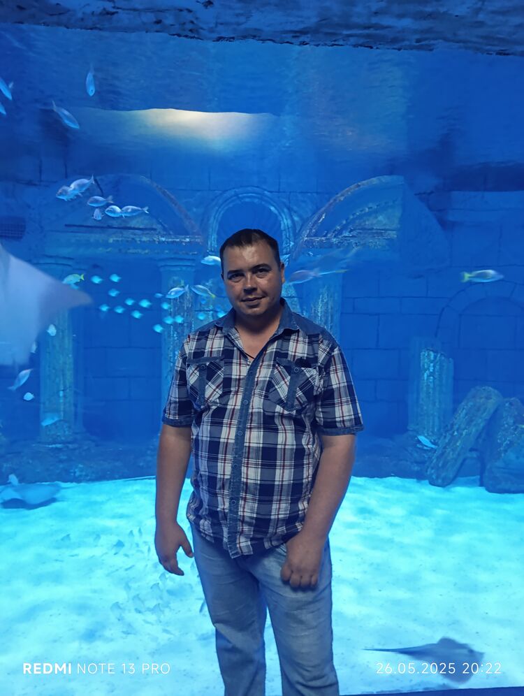  51822944  , 35 ,    