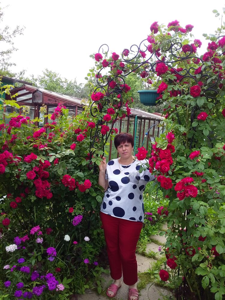 ���� 27615934 ������� �������, 60 ���, ���� ���������� � ������