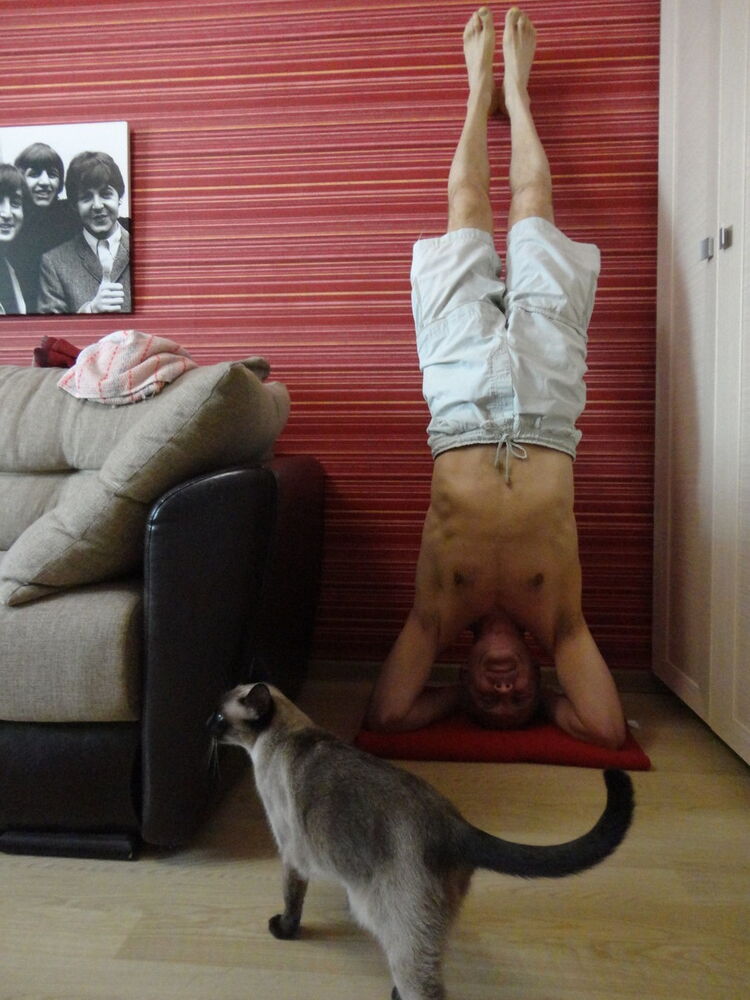  ,   SUPERSerg, 59 ,  
