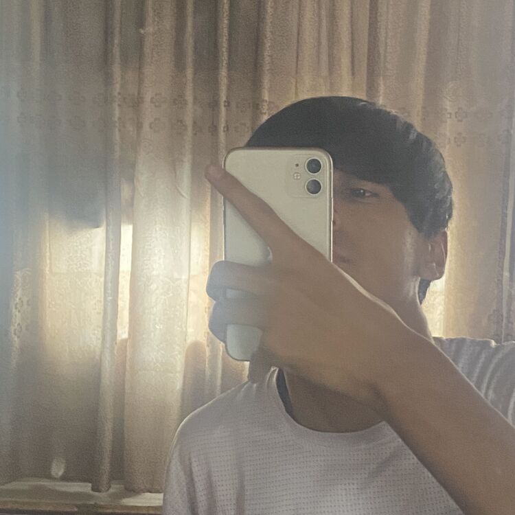  42019864  , 20 ,    