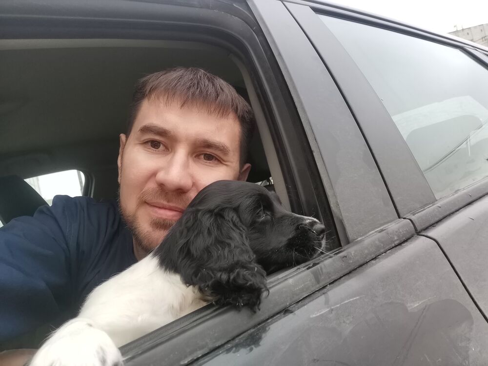 ���������� �����, ���� ������� ������, 43 ����, ������������ ��� ������, ����� � ���������, c�������� ���������, ���������