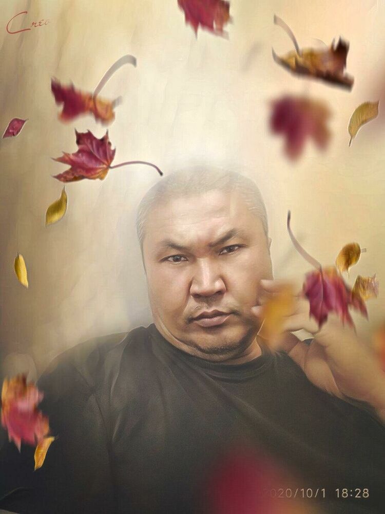  -,   , 43 ,   