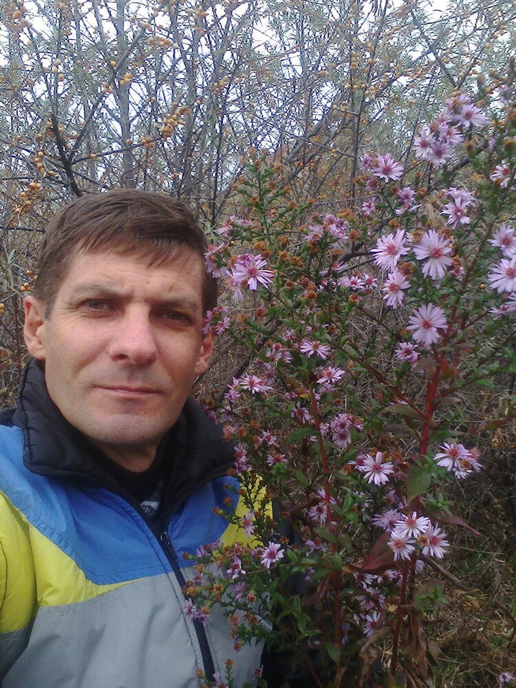  ,   , 53 ,     , c 