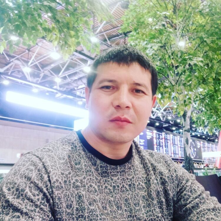 ���� 40522884 ������� �������, 38 ���, ���� ���������� � ������