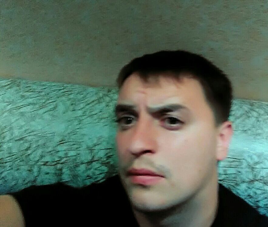  15511684  , 33 ,    