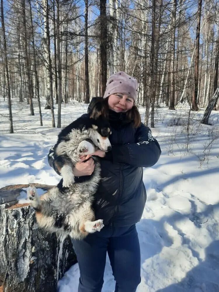 ���� 55956634 ������� ���, 30 ���, ���� ���������� � ����