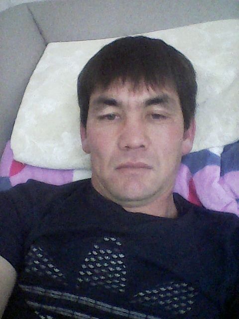  13884514  , 43 ,    