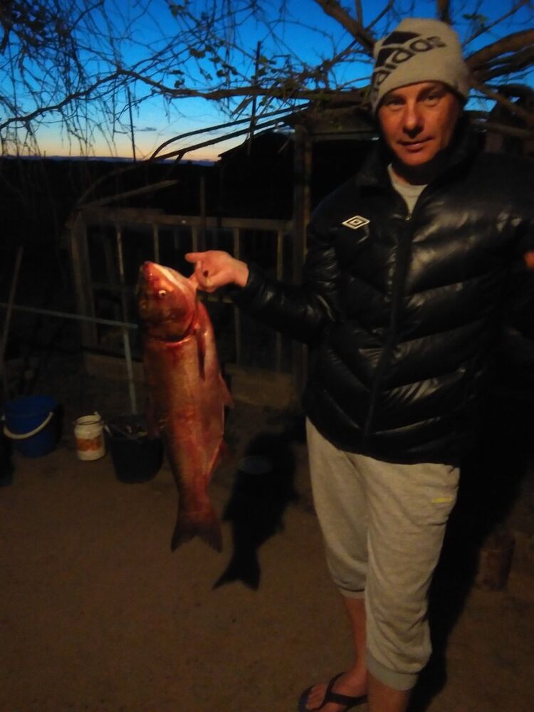 ���������� ���������, ���� ������� Aleks, 54 ����, ������������ ��� ������, ����� � ���������, c�������� ���������