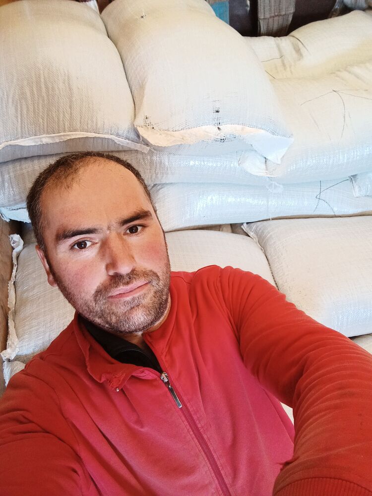 ���� 31225454 ������� ��������, 33 ����, ���� ���������� � �����-����������