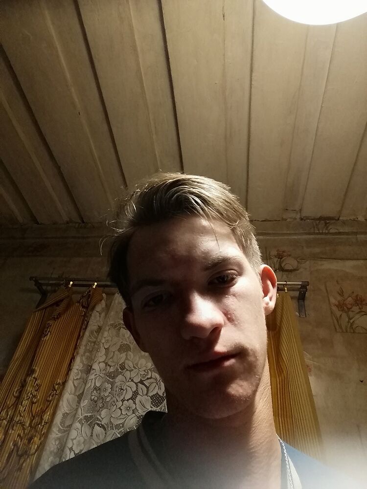  33177134  , 22 ,    