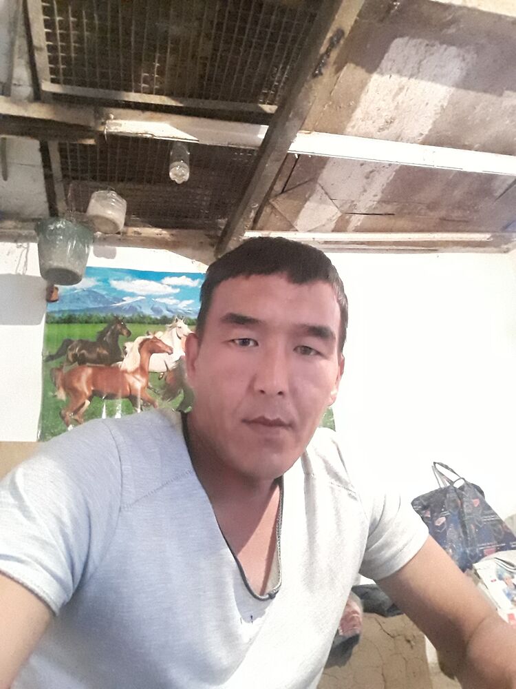  ,   , 29 ,     , c , 