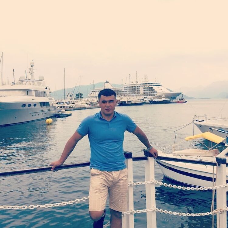 ���� 24408154 ������� Maga, 36 ���, ���� ���������� � �������