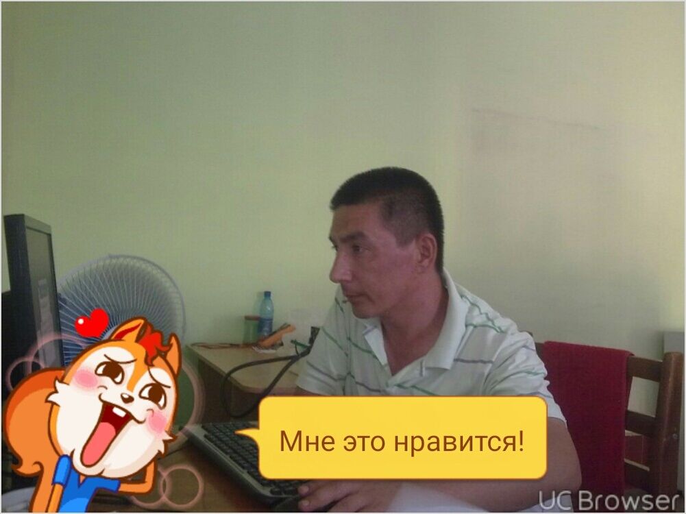  8346584  , 52 ,    