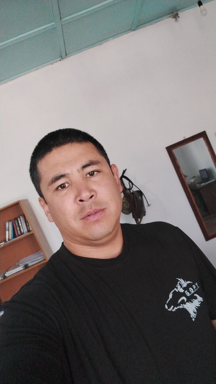  53936554  , 30 ,    