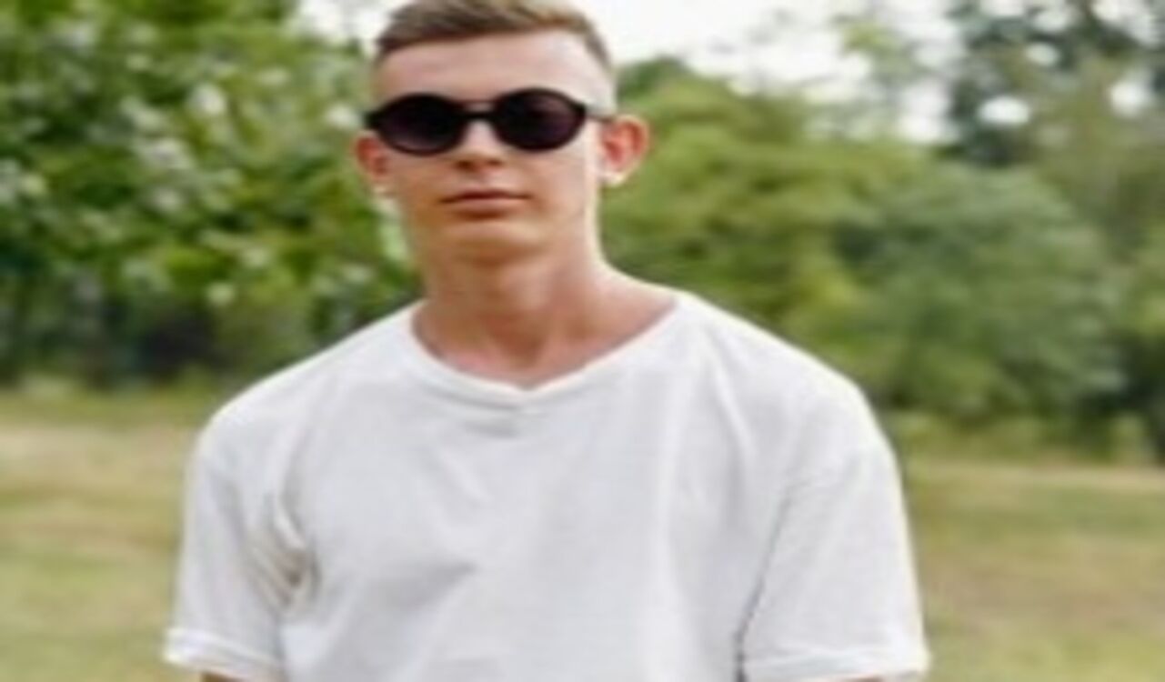  29073434  , 38 ,    
