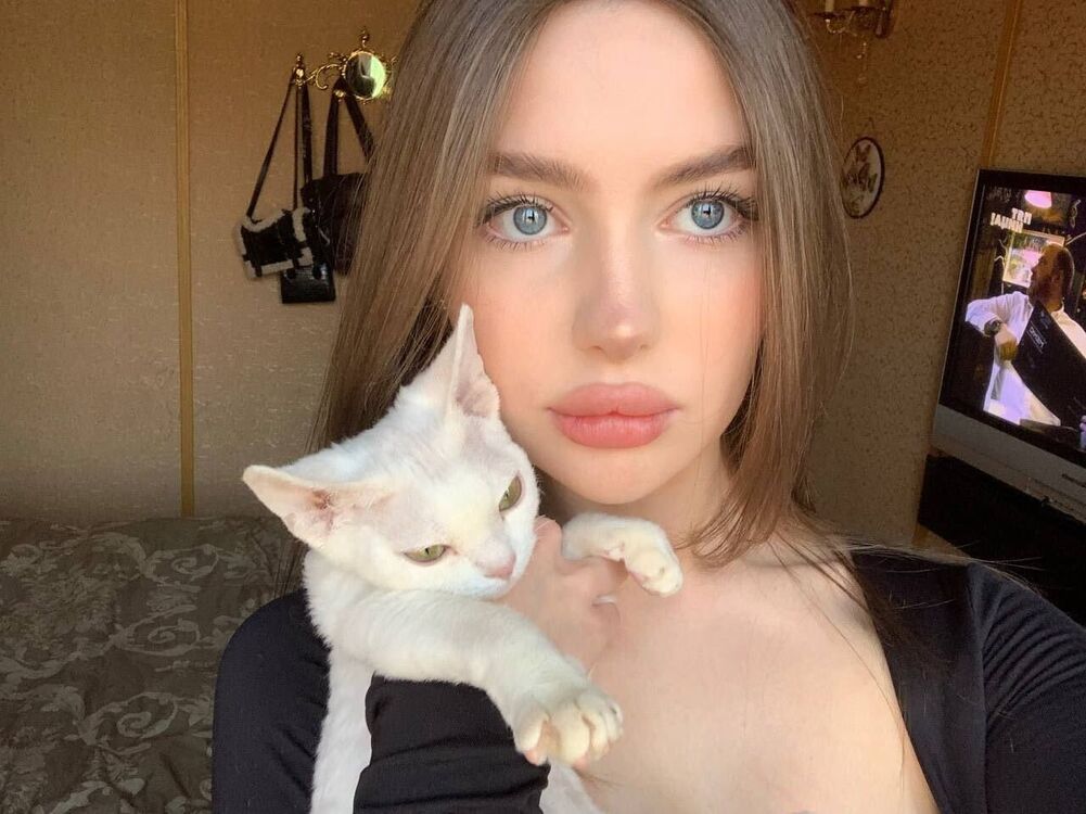 ���� 43788434 ������� ������, 21 ���, ���� ���������� � �����-����������