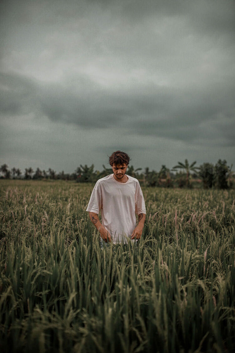 ���� 50293984 ����� ������, 25 ���, ���� ���������� � �������