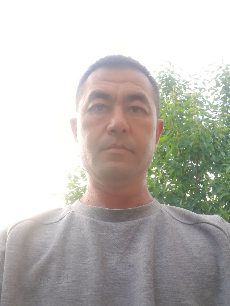 ���� 35062594 ������� Lion, 41 ���, ���� ���������� � �����