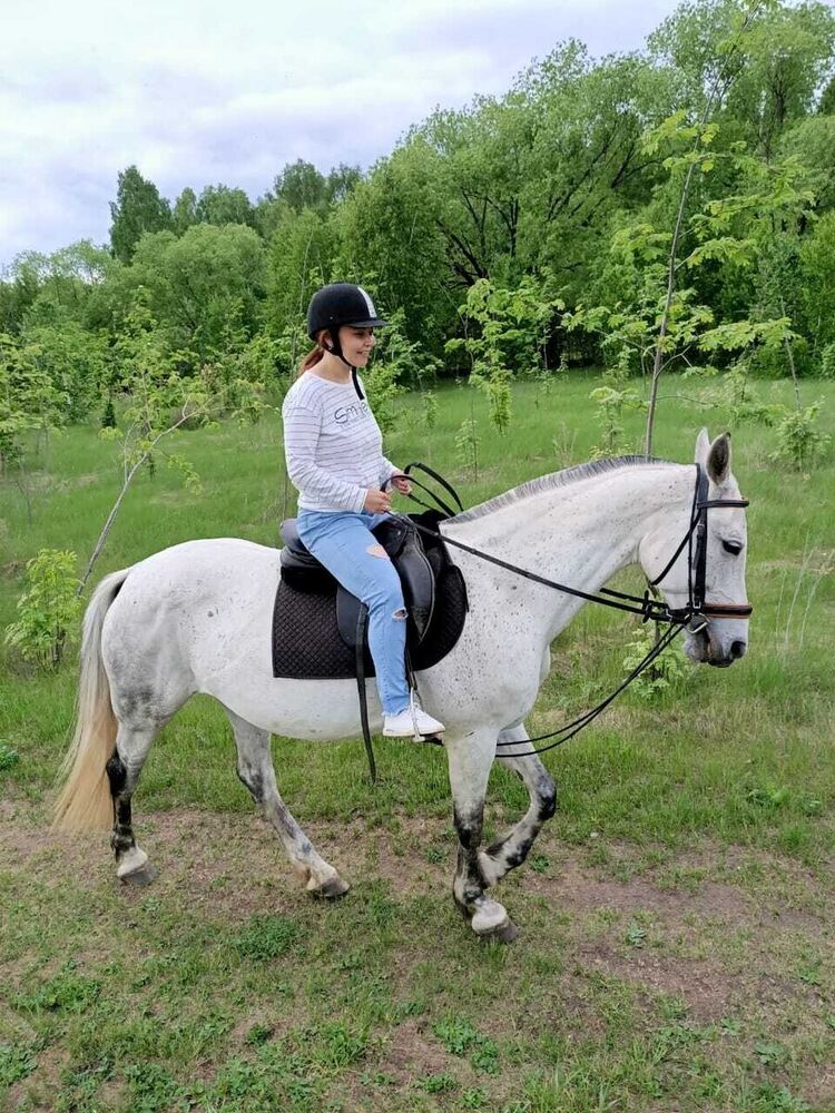 ���������� ���������, ���� ������� �����, 41 ���, ������������ ��� ������, ����� � ���������, c�������� ���������