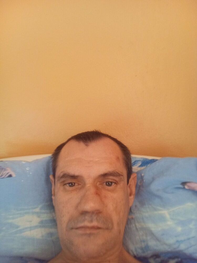  47233414  , 43 ,    
