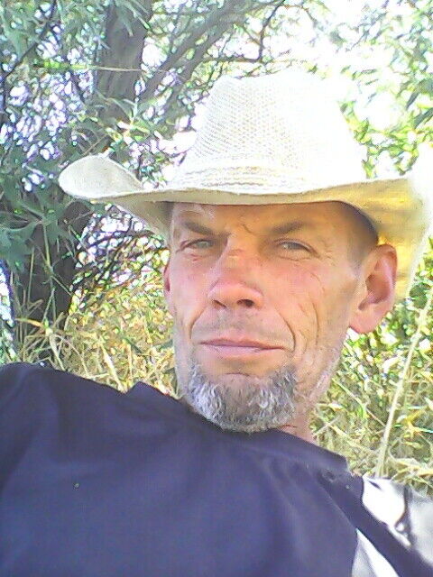 ���� 19918644 ������� ������, 53 ����, ���� ���������� � �����������