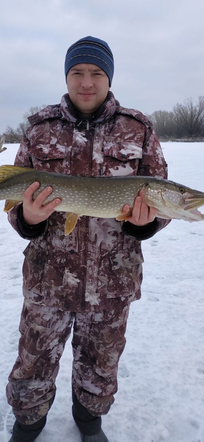 ���� 25948064 ������� �������, 36 ���, ���� ���������� � ������