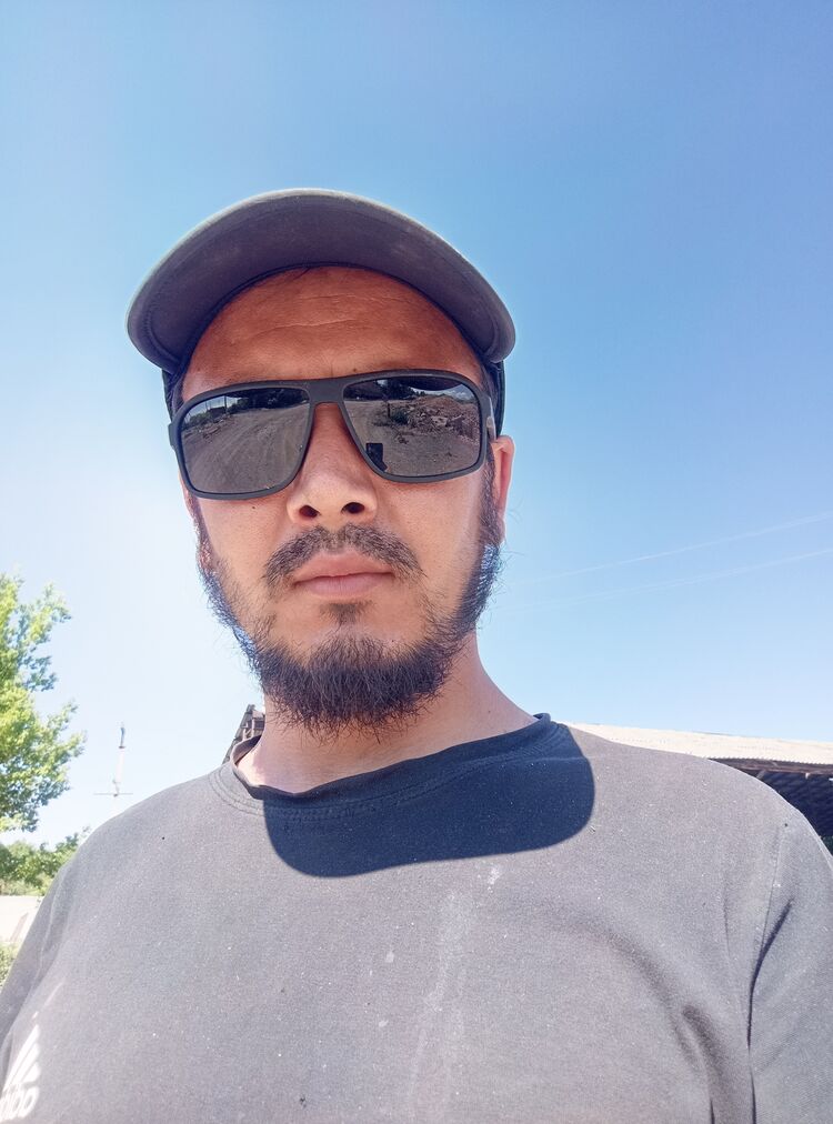  52107264  , 31 ,    