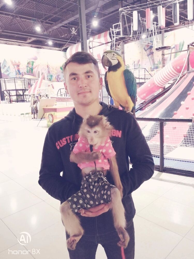  ,   Avazbek, 28 ,   ,   