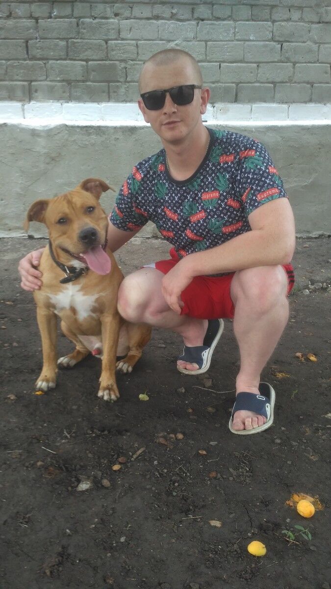 ���������� ������, ���� ������� ����, 32 ����, ������������ ��� ������, ����� � ���������, c�������� ���������